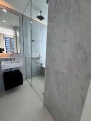 Scotts Square (D9), Apartment #481296451